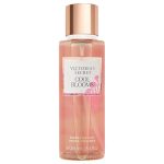 بادی اسپلش کول بلومز ویکتوریا سکرت
 - VICTORIA’S SECRET