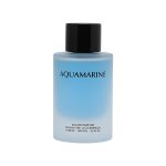 ادکلن هریتیج آکوامارین 100 میل HERITAGE AQUAMARIN