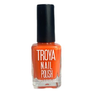 لاک ناخن ترویا کد 860 TROYA NAIL 18ML