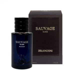 ادکلن برندینی 33 میل diorsauvage elixirl